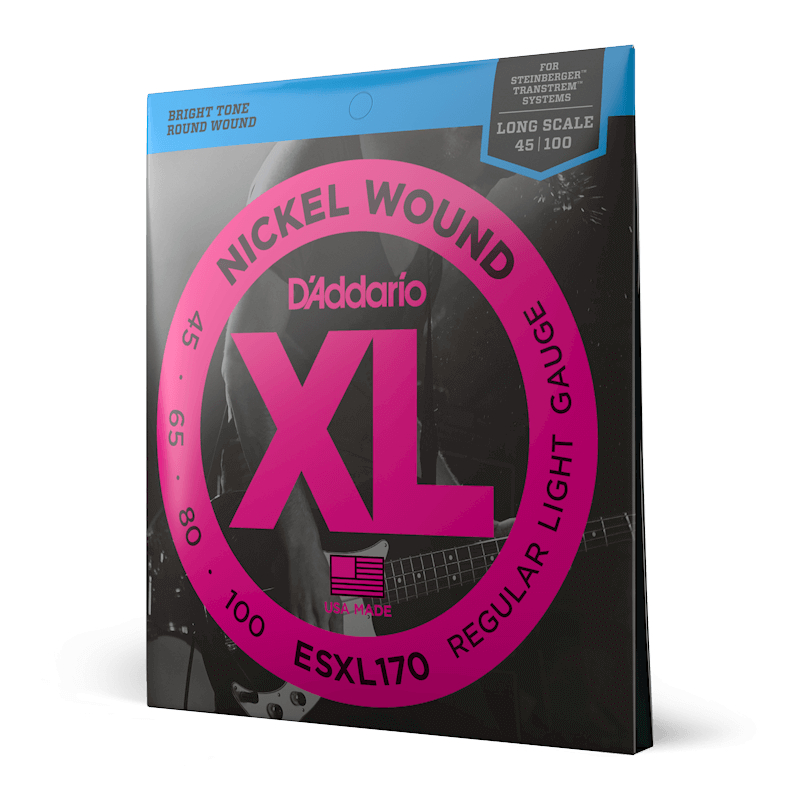 Daddario ESXL170 Regular Light 45-100