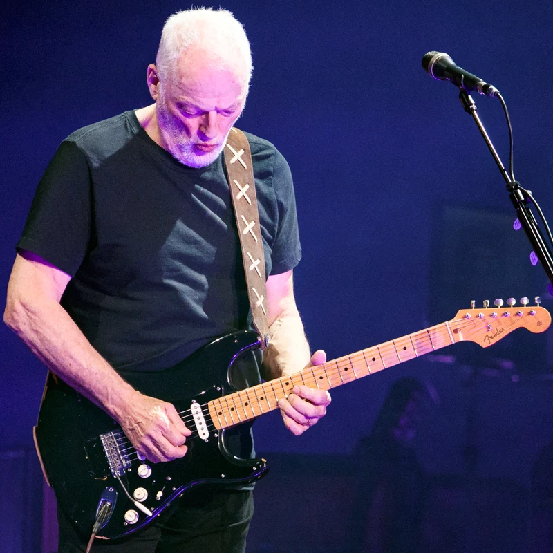 RightOn! David Gilmour Brown Legend - Image 3